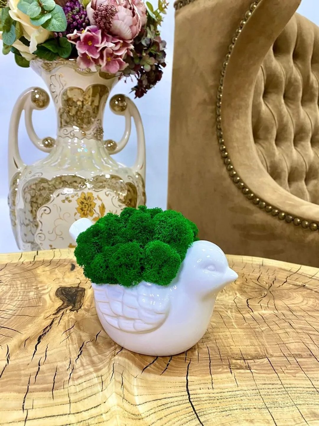 花盆，稳定苔雀 - 咖啡壶/周边 - 植物．花 
