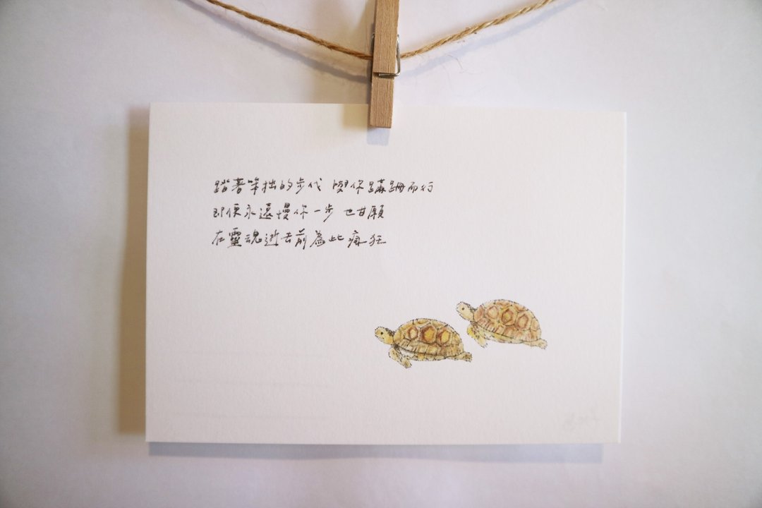 动物与它的诗36/ 陆龟/ 手绘 /卡片 明信片 - 卡片/明信片 - 纸 