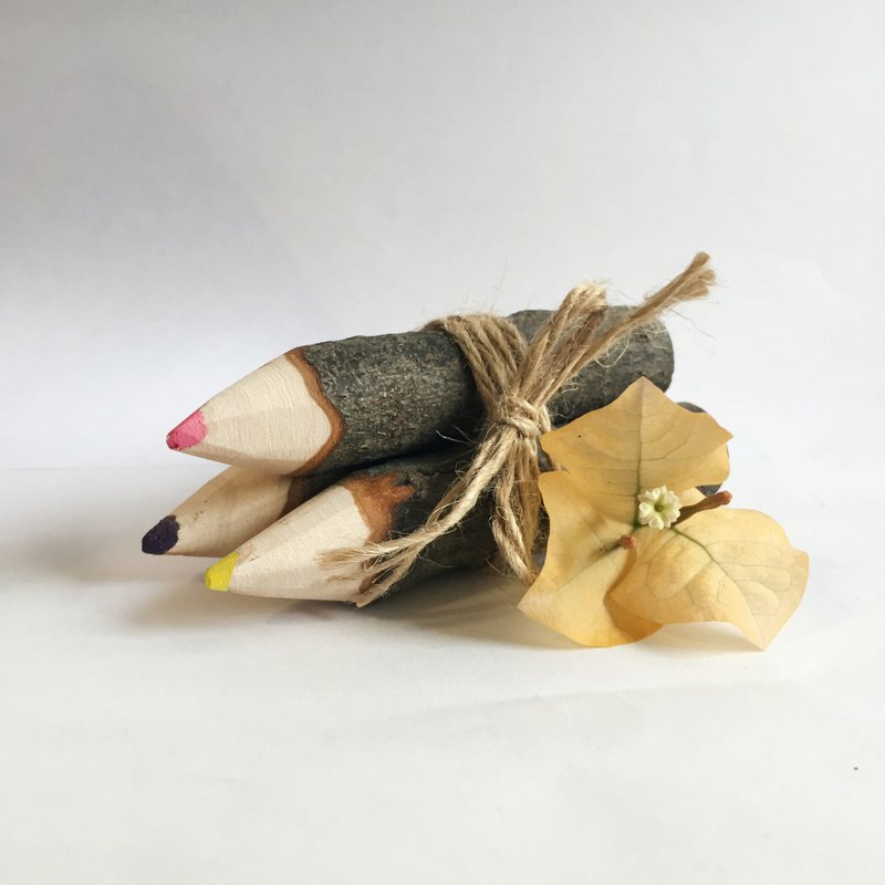 樟木 树枝笔 胖胖笔 三色 - 植栽/盆栽 - 植物．花 咖啡色