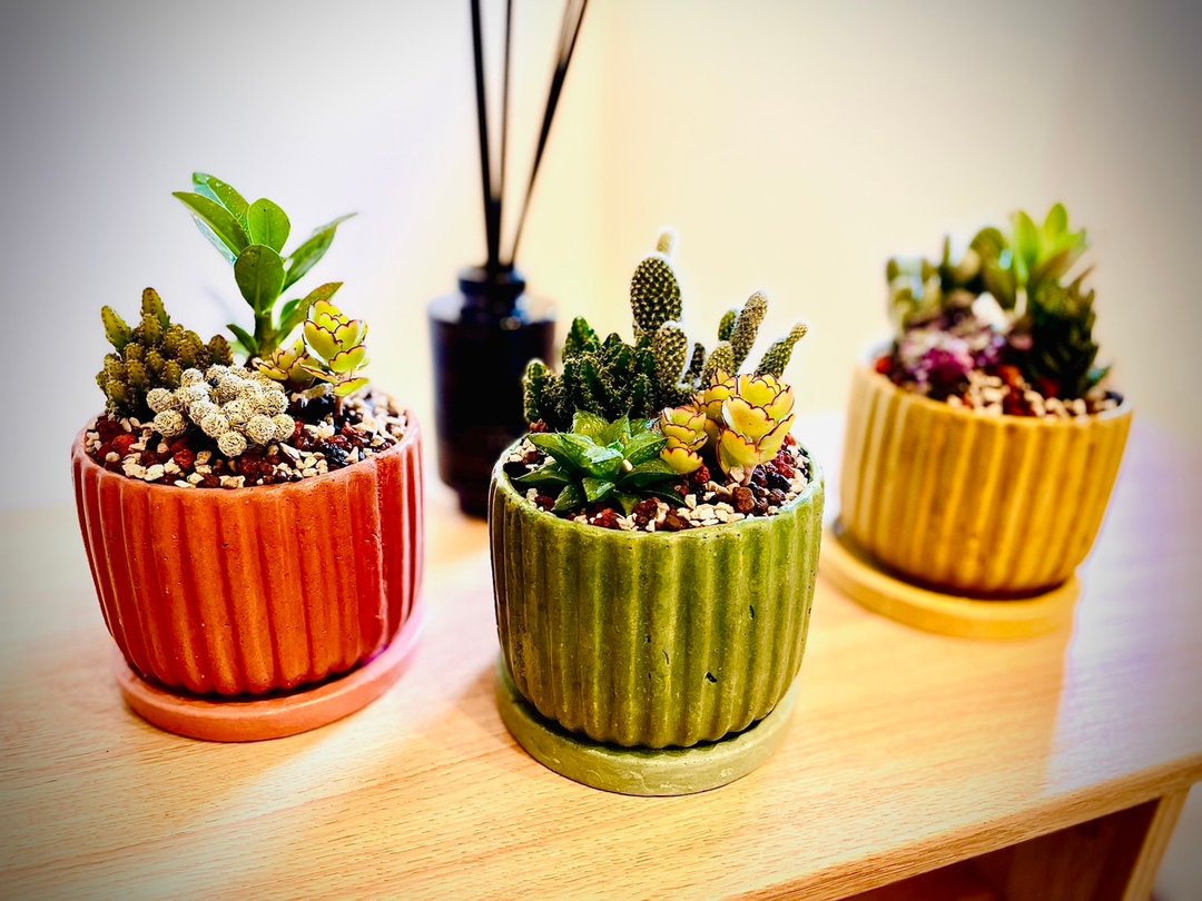 【春天、永续限定】莫兰迪植景_日系设计师独家合作_SDGs - 植栽/盆栽 - 瓷 多色