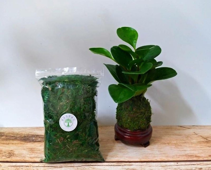 园艺手作介质 绿色水苔 苔球 苔玉原材料 - 植栽 - 植物．花 