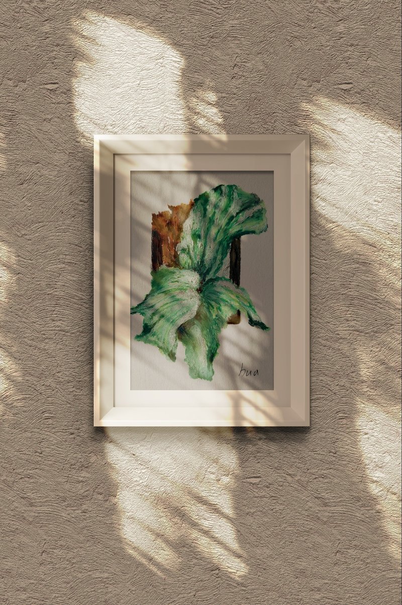 手绘植物画作 - 订制画像 - 纸 