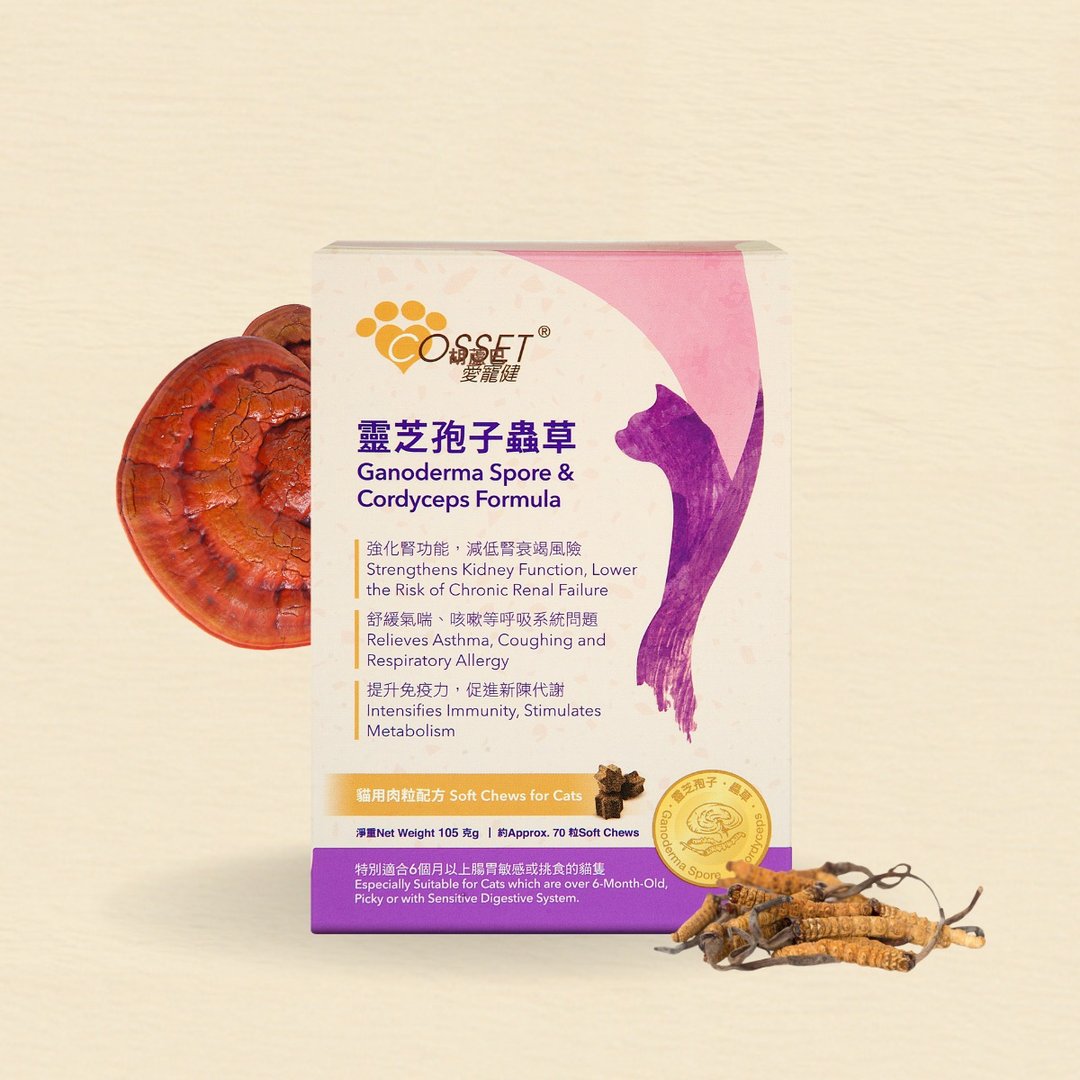 爱宠健灵芝孢子虫草猫用肉粒配方 - 其他 - 其他材质 