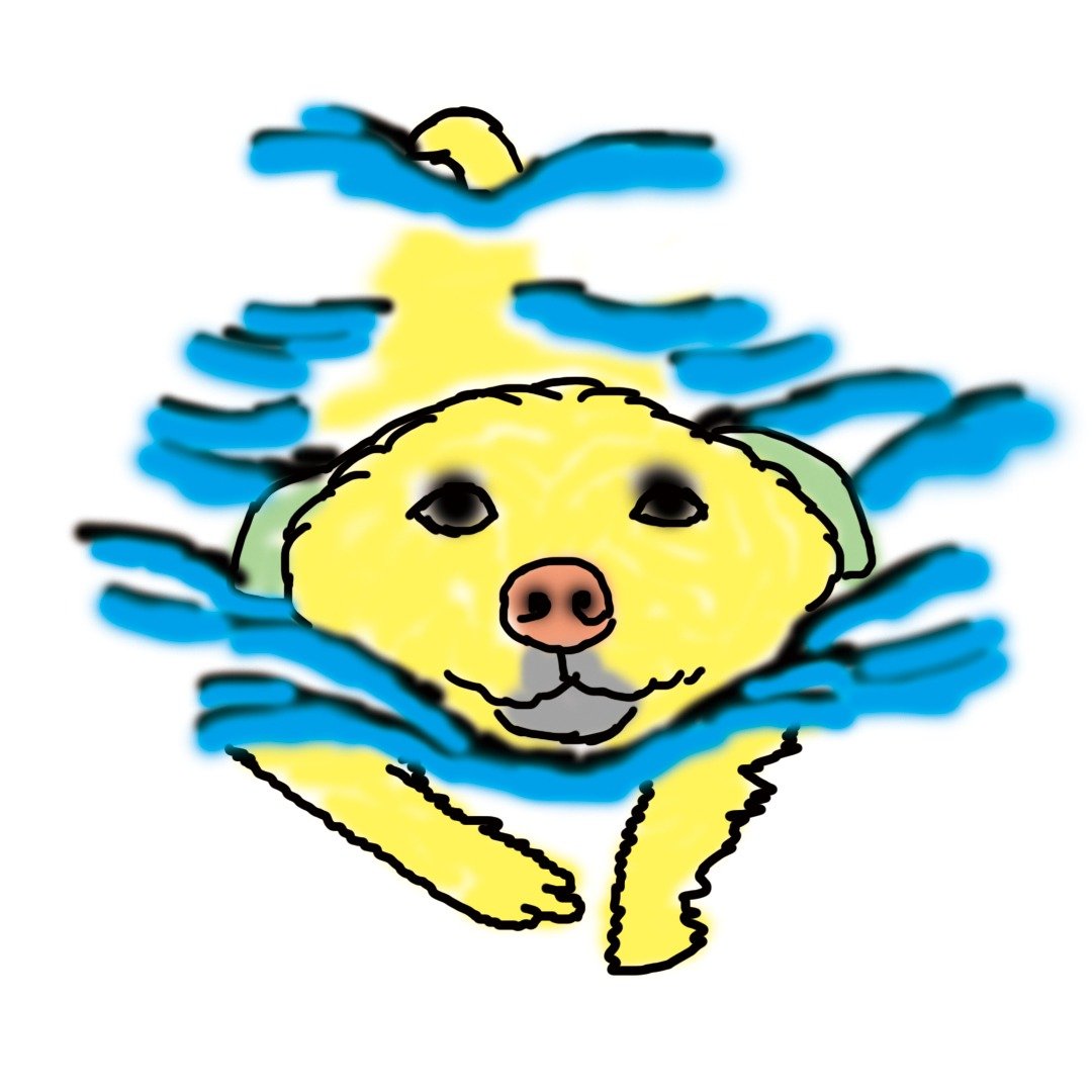 dog swimming T - shirt - 女装 T 恤 - 棉 多色
