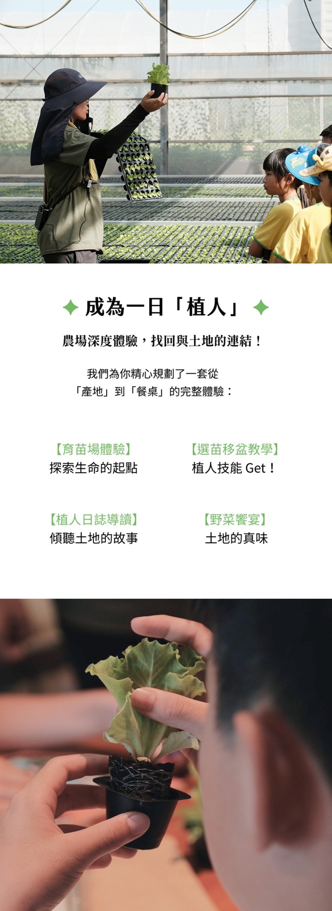 【屋蹐文化】植人日作 (食农教育) - 植栽 - 其他材质 