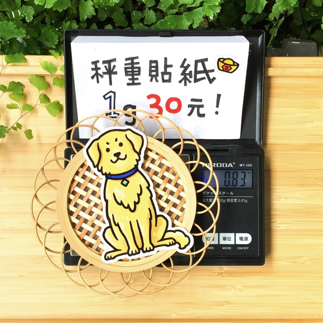 呱啊嘎嘎秤重小贴纸 - 12黄金汪汪 - 贴纸 - 防水材质 黄色