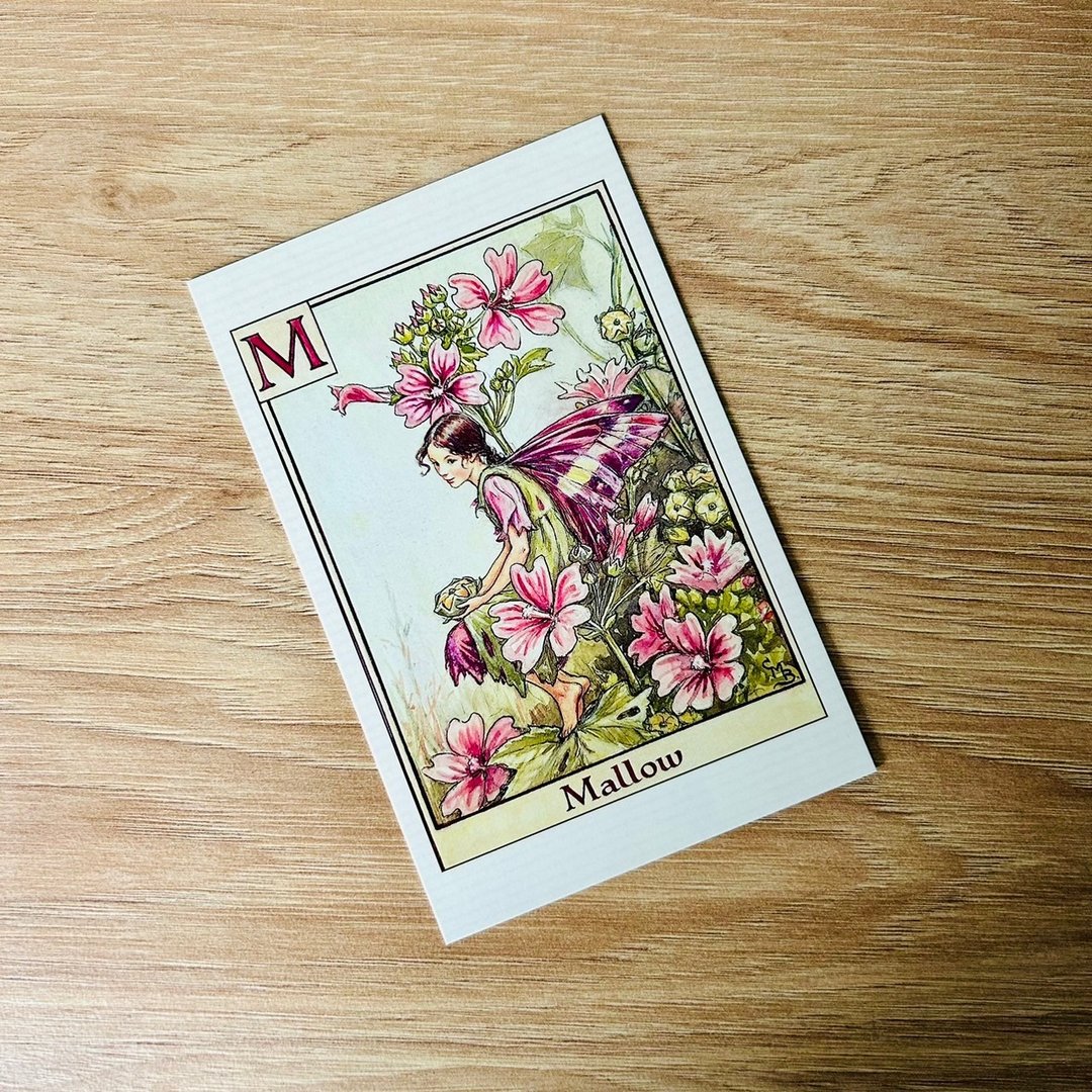 花仙子 字母系列 经典明信片 - Mallow/ 锦葵 - 卡片/明信片 - 纸 