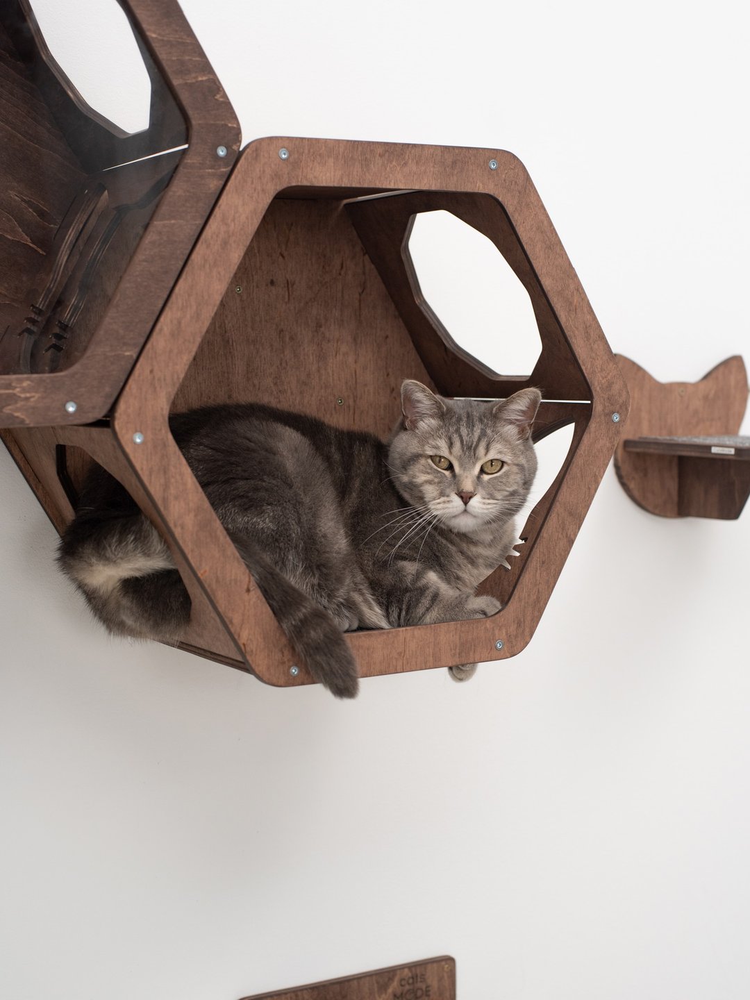 猫床 现代猫屋 猫爬架 猫木墙壁家具套装 - 抓板/跳台 - 木头 咖啡色