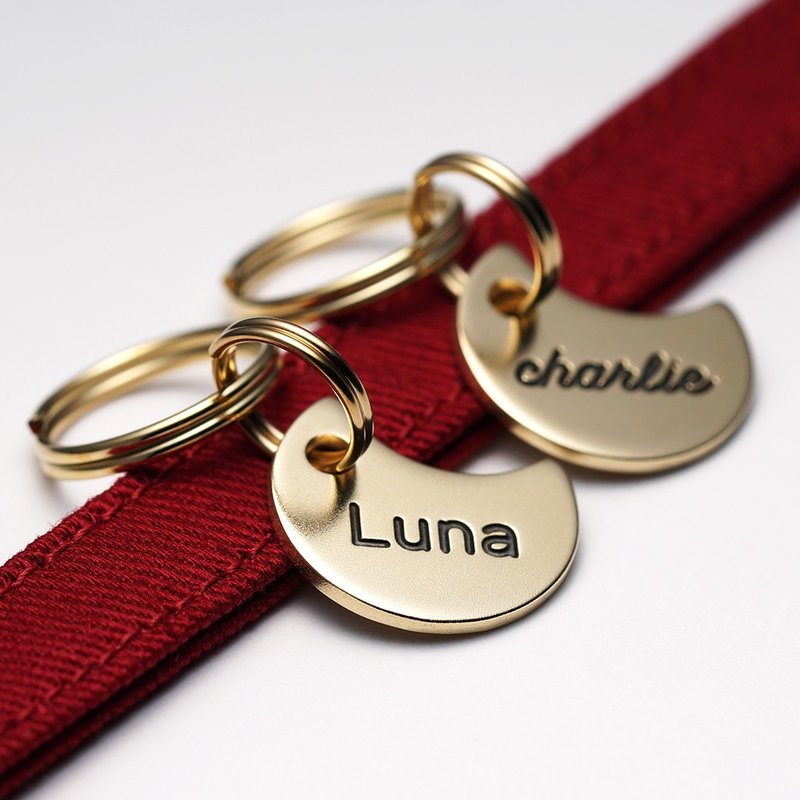 迷失猫牌 - 月亮造型 - [黄铜/黄铜] 猫名牌、铭牌、姓名牌、电话号码、双面雕刻、吊饰、钥匙圈 - 其他 - 铜/黄铜 金色