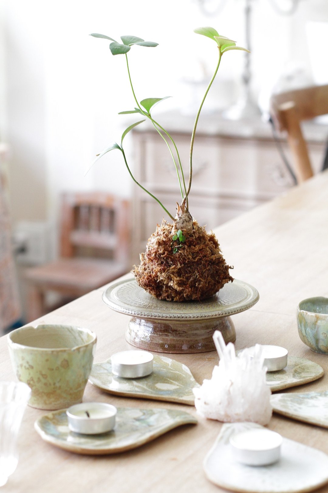 纯手工陶瓷高脚蛋糕盘/饰品盘/烛台/壶承1 - 盘子/餐盘/盘架 - 陶 卡其色