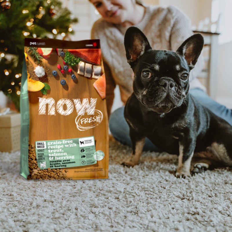 【狗主食】now 鲜鱼无谷 小型成犬天然粮 狗饲料 护毛 - 狗罐头/鲜食 - 新鲜食材 