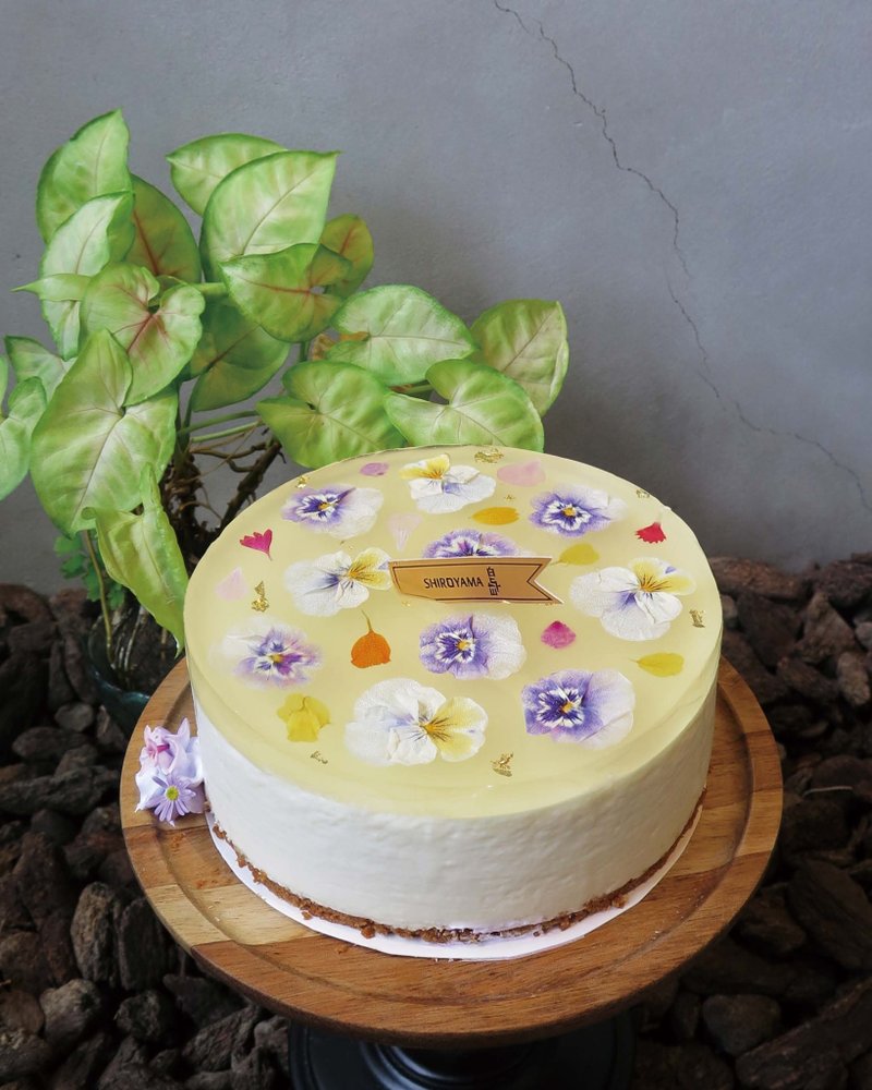 晨间花语-慕斯蛋糕 - 蛋糕/甜点 - 新鲜食材 