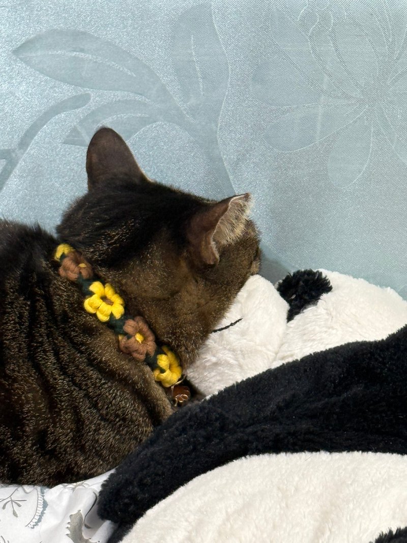 【客订商品】猫咪安全扣项圈+皮革姓名+上下扣款Airtag收纳袋 - 项圈/牵绳 - 棉．麻 