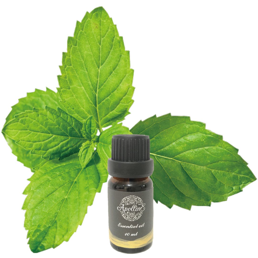 薄荷精油 PEPPERMINT - 香薰/精油/线香 - 精油 