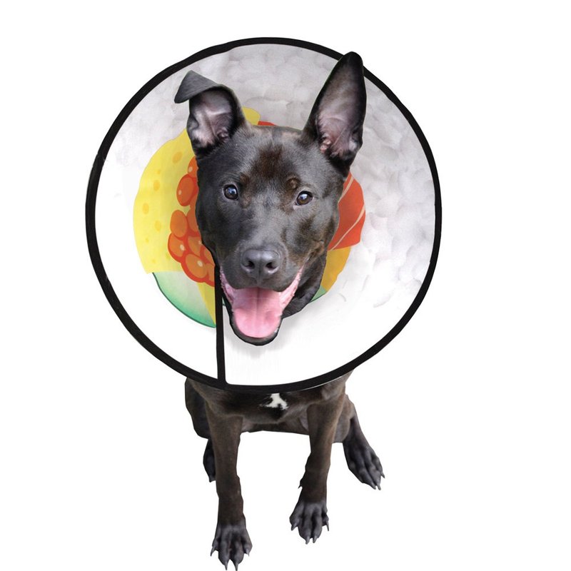 MS伊莉莎白项圈头套 颈围约27厘米左右 四款 握寿司、牡丹、野 - 项圈/牵绳 - 塑料 多色