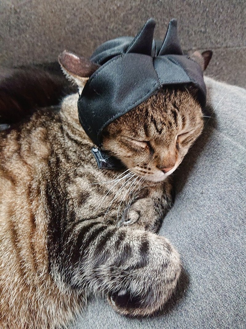 【街头潮流】宠物猫 潮帽/冬季猫咪帽子丨宠物变装 - 衣/帽 - 其他人造纤维 黑色