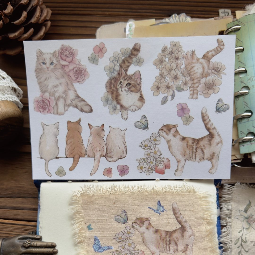 new / 花路猫转印贴纸 套组 - 贴纸 - 纸 粉红色