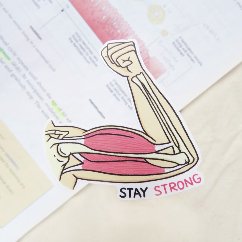 Stay Strong! 撑住 大贴纸 / 生物学 鼓励 - 贴纸 - 防水材质 粉红色
