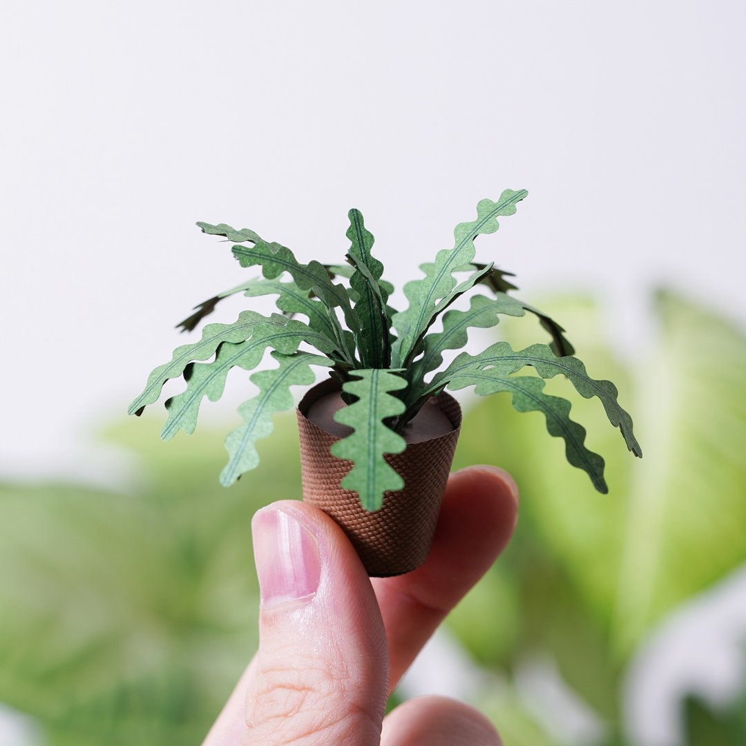 【纸植栽 DIY材料包 S】 鱼骨仙人掌 | 9028404 纸风景 - 木工/竹艺/纸艺 - 纸 绿色