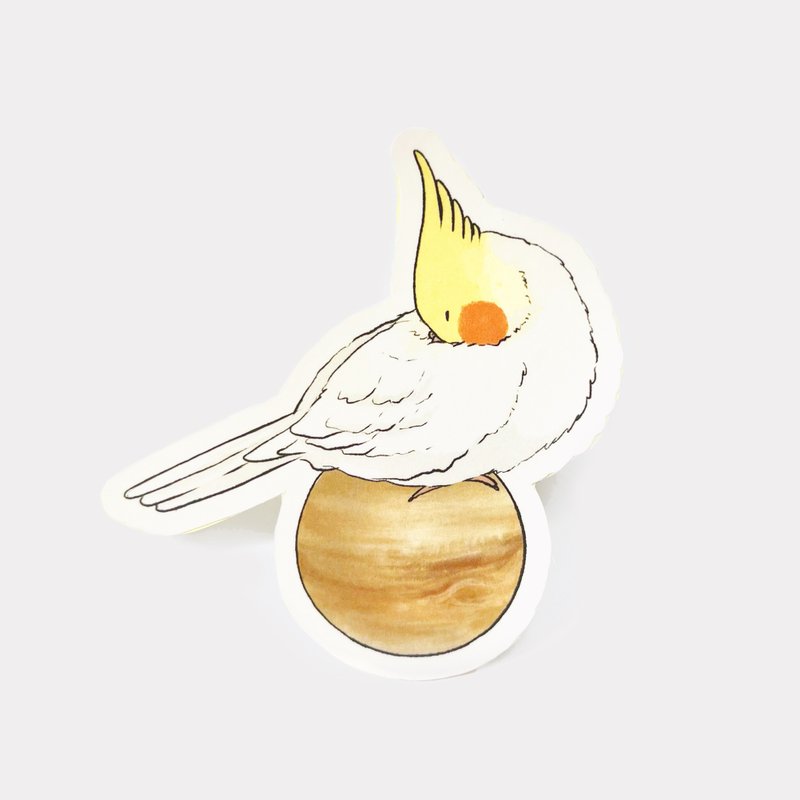 玄凤鹦鹉 贴纸 | 慵懒木星 - 贴纸 - 纸 