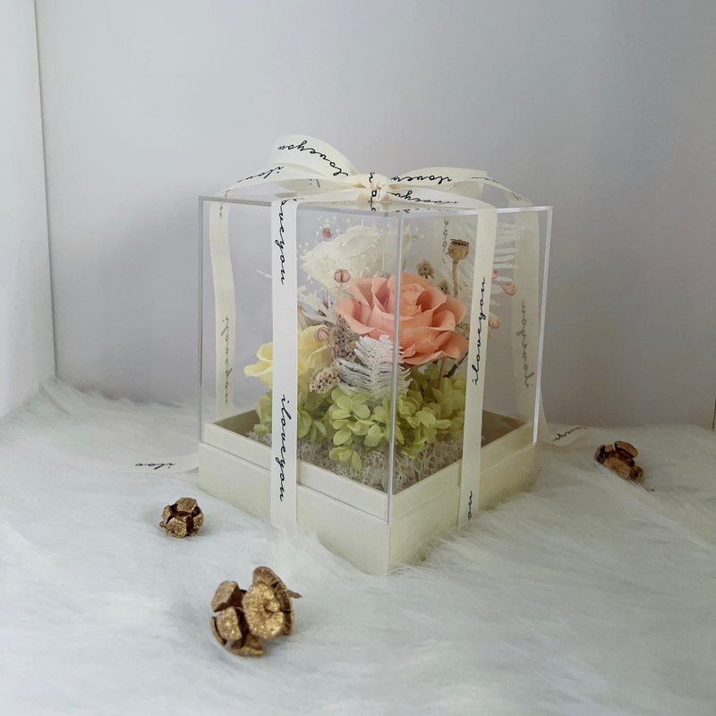 永生花压克力盒 - 干燥花/捧花 - 植物．花 卡其色