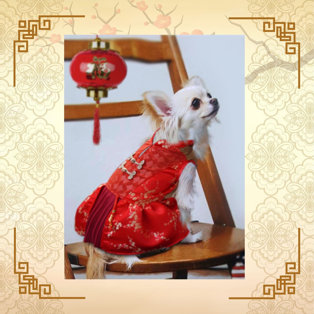 Lucky Red - 衣/帽 - 丝．绢 红色
