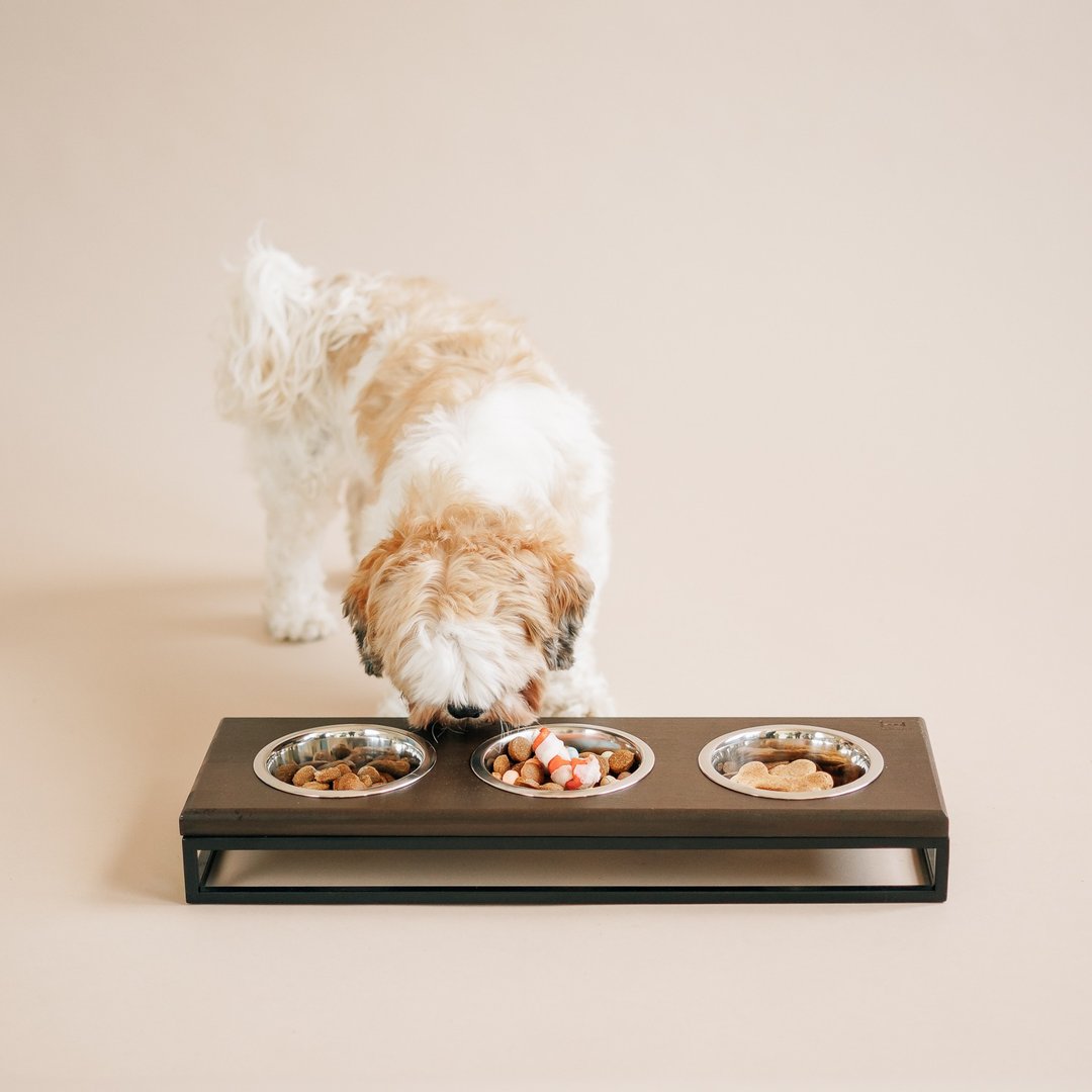 Pet Triple Bowl Feeder Flat bowl for fry food S Size 450ml - 碗/碗架 - 其他材质 咖啡色