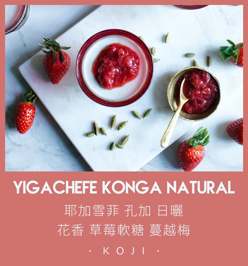 埃塞俄比亚 浅烘焙 耶加雪菲 孔加 日晒 咖啡豆 挂耳包 - 咖啡 - 新鲜食材 白色
