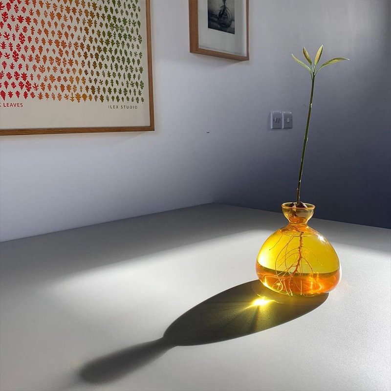 ILEX STUDIO | 酪梨玻璃花器 复古黄 - 花瓶/陶器 - 玻璃 黄色