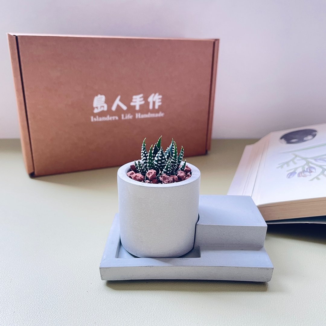 【火力全开--小】开运招财疗愈仙人掌 办公桌疗愈系盆栽 生日礼物 - 植栽/盆栽 - 水泥 灰色