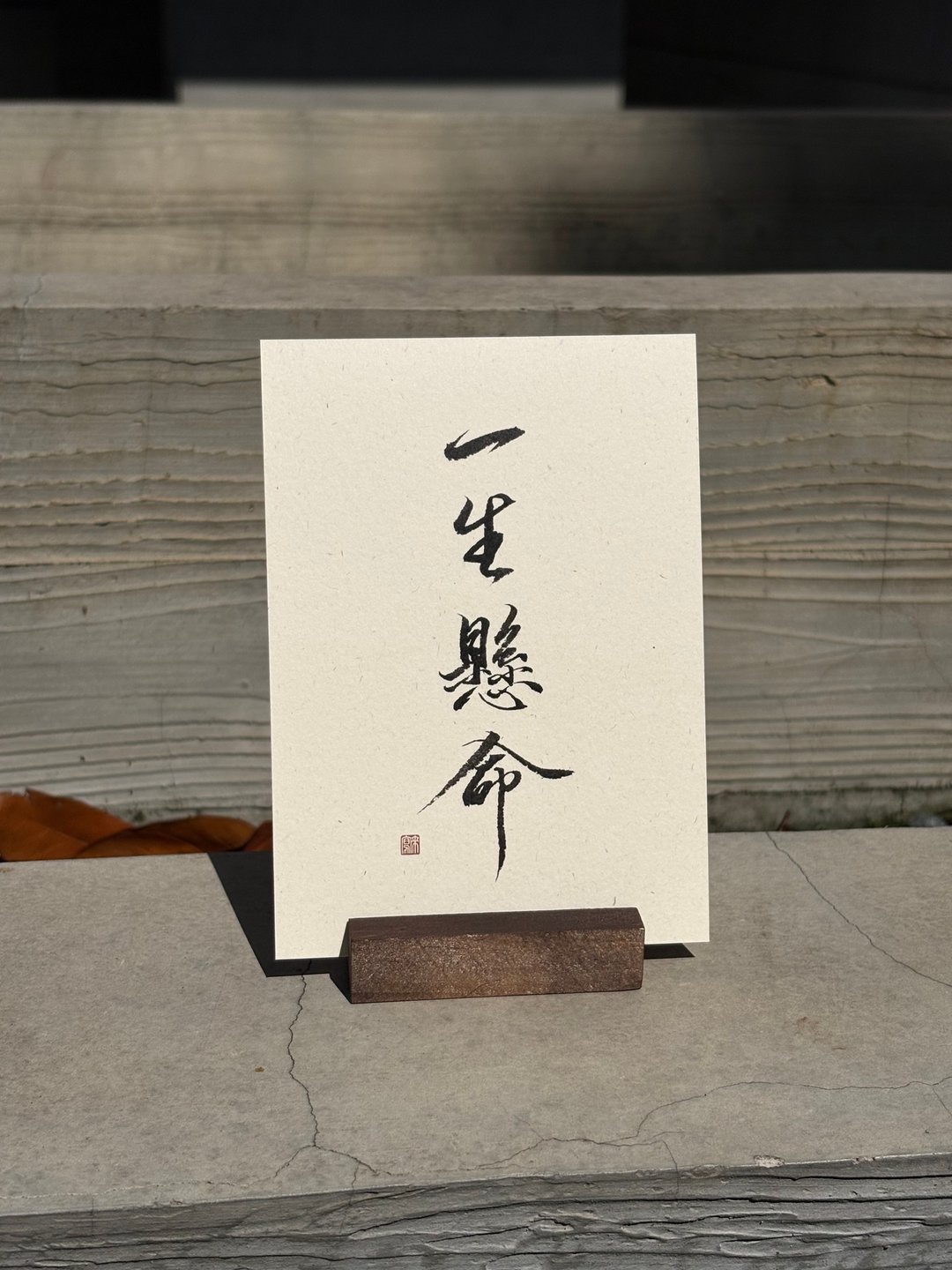 【来写】书法明信片 10 款文字 正能量 万用卡 祝福 励志 送礼 - 卡片/明信片 - 纸 白色