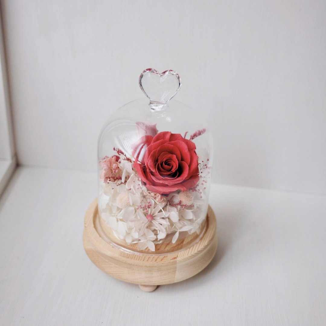 永生花罩盅 含灯  生日 l 周年 l 母亲节 l 庆祝 l 红色系 - 干燥花/捧花 - 其他材质 