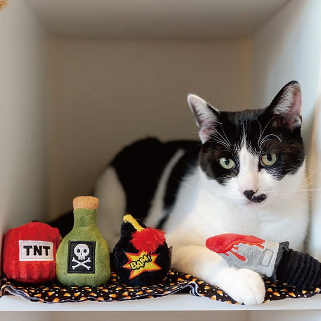 【猫玩具 狂野猫咪 万圣系列】猫草 逗猫 宠物 - 玩具 - 环保材料 