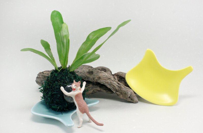 陶瓷底座 猫脸 手提碟 手指架 - 浅碟/小碟子 - 瓷 多色