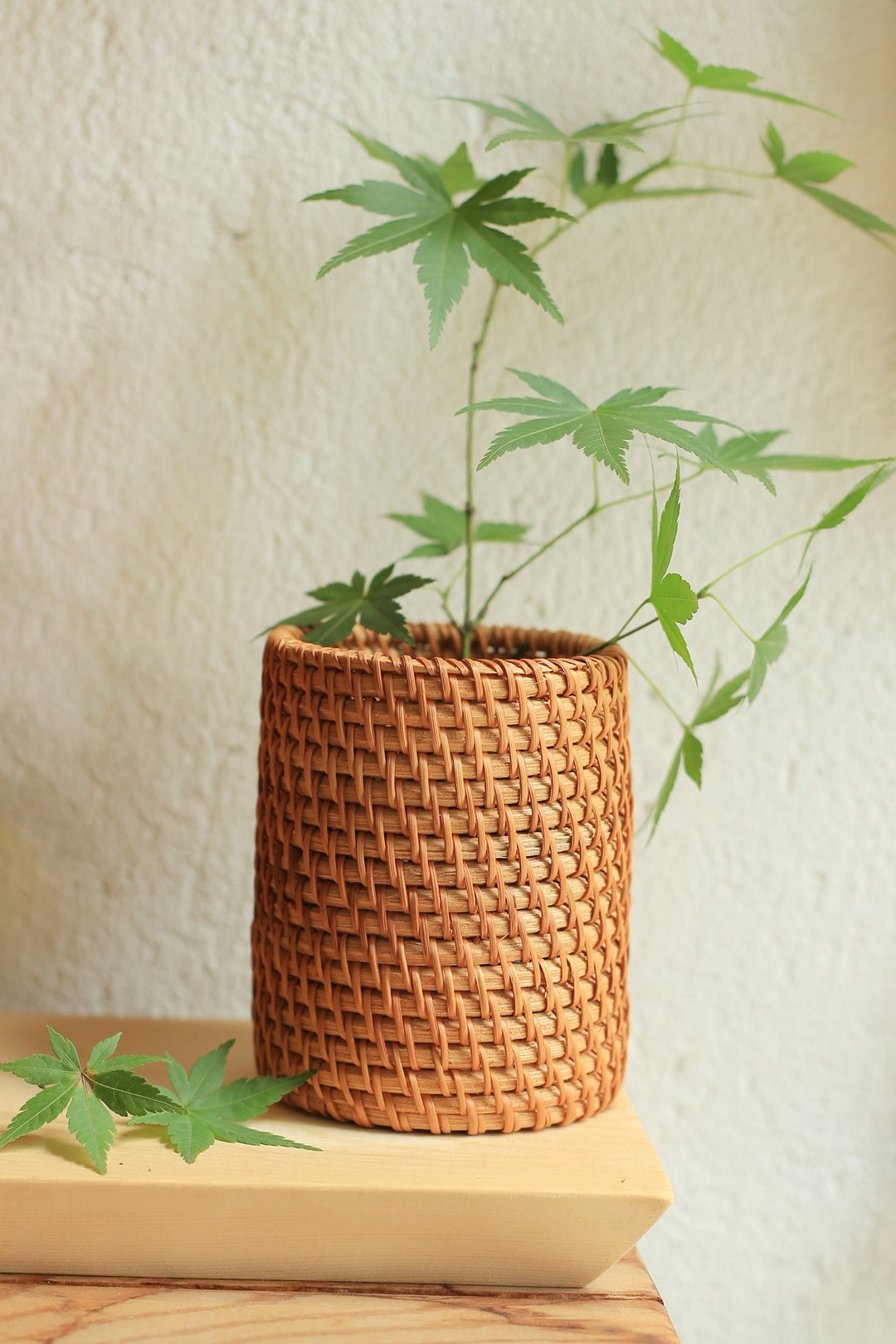 藤编系列 | 茶具筒 笔筒 | 花器 多用收纳筒 | 天然秋藤 - 收纳用品 - 植物．花 