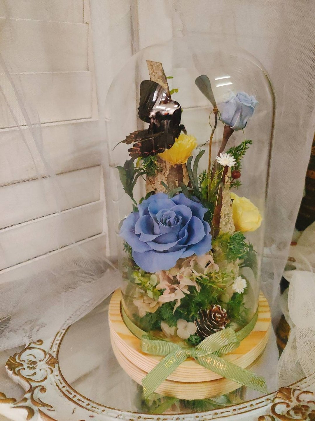 【荞翎工作室】蝴蝶森林花盅 蝴蝶标本玻璃花盅 定制化 - 干燥花/捧花 - 植物．花 多色