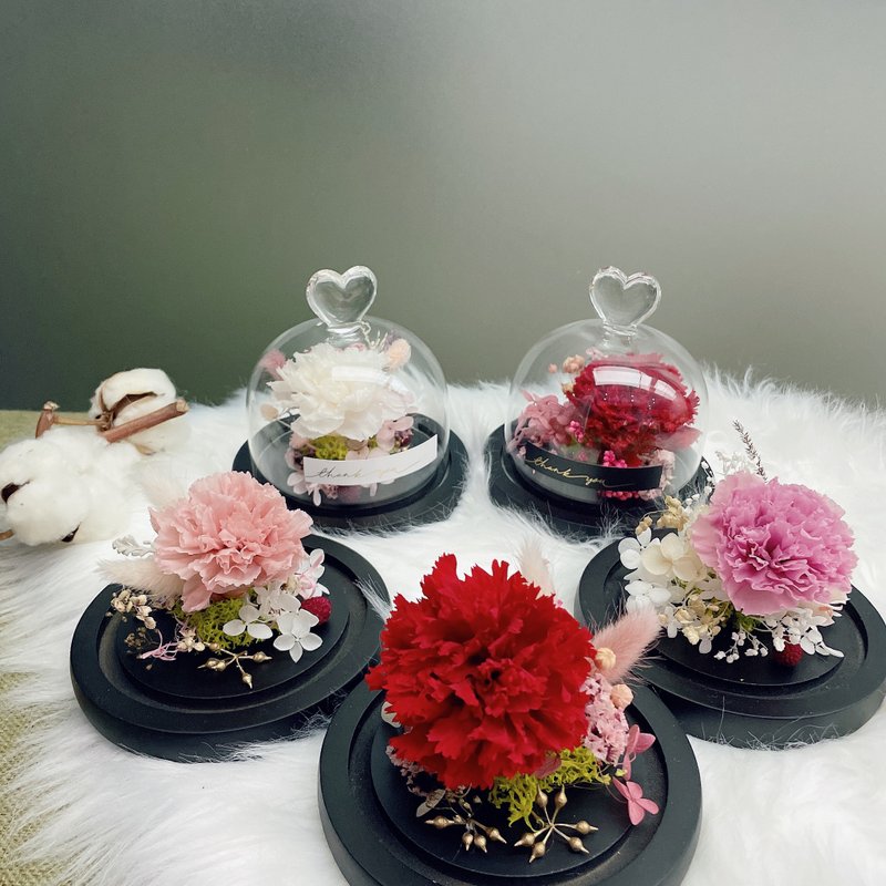 Thank you 不凋康乃馨玻璃盅罩 - 干燥花/捧花 - 其他材质 多色