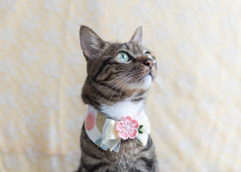 【 樱花・さくら系列】宠物领巾 猫咪/狗狗 花花 布花 - 米黄 - 项圈/牵绳 - 棉．麻 黄色