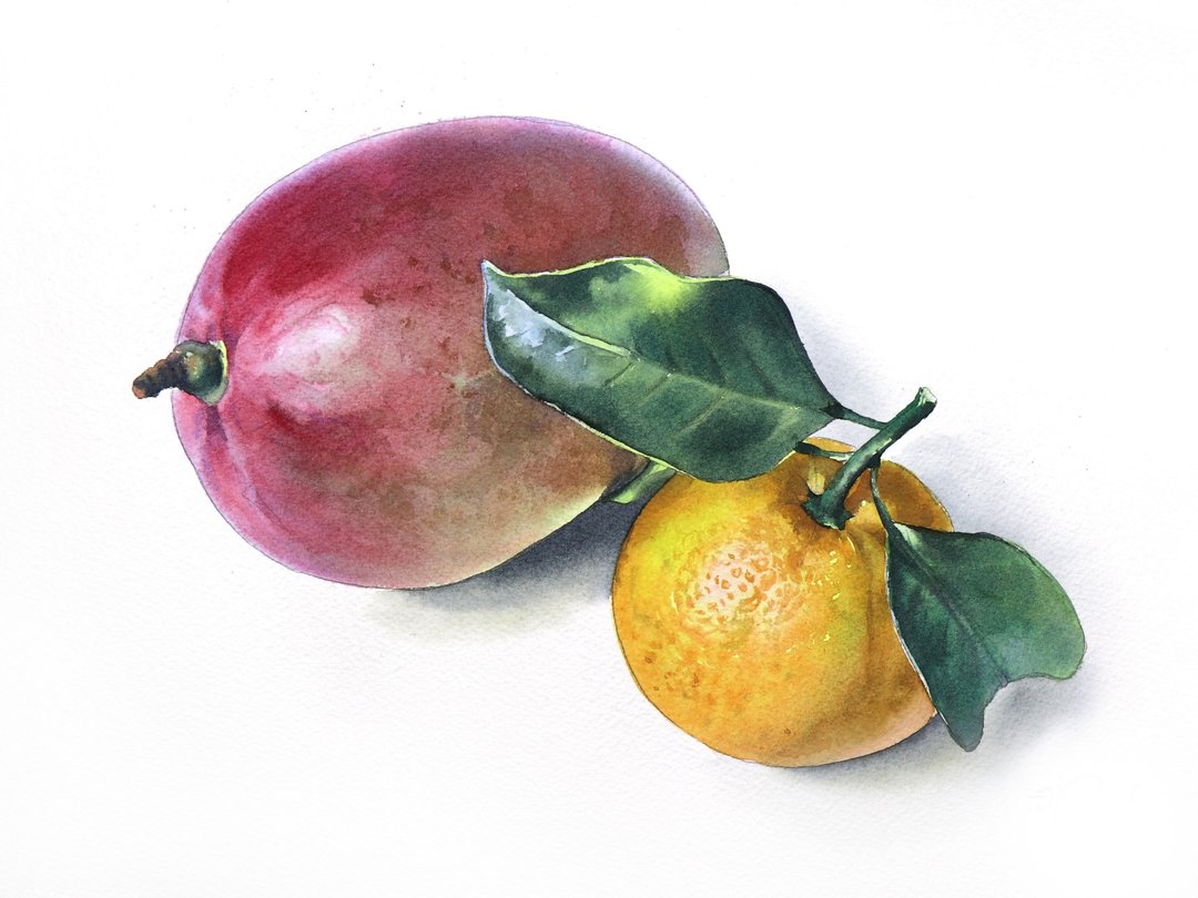 Mango and tangerine original watercolor painting by artist Irina Zhunaeva - 墙贴/壁贴 - 纸 多色