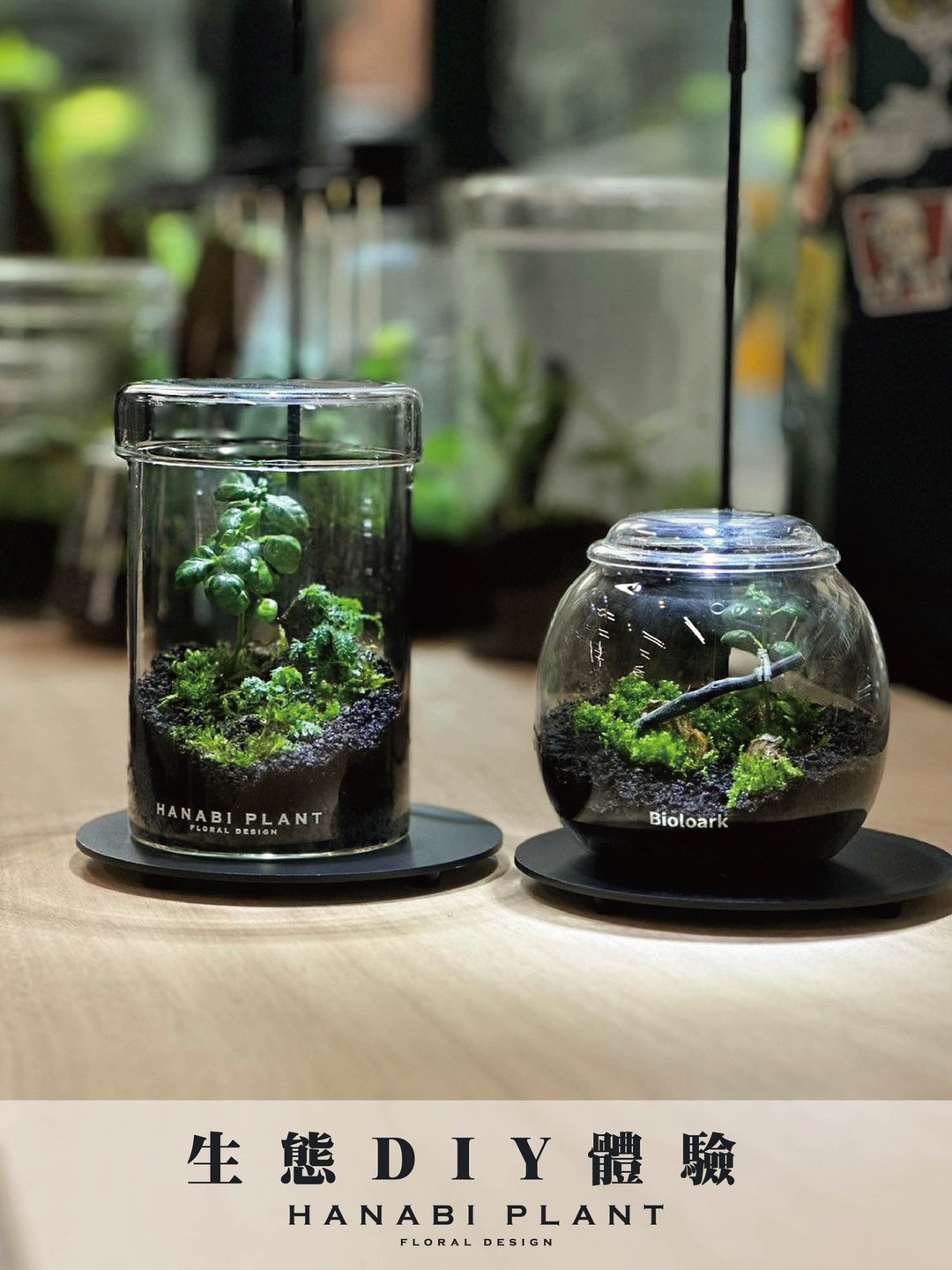 小生态材料包 - 植栽/盆栽 - 玻璃 