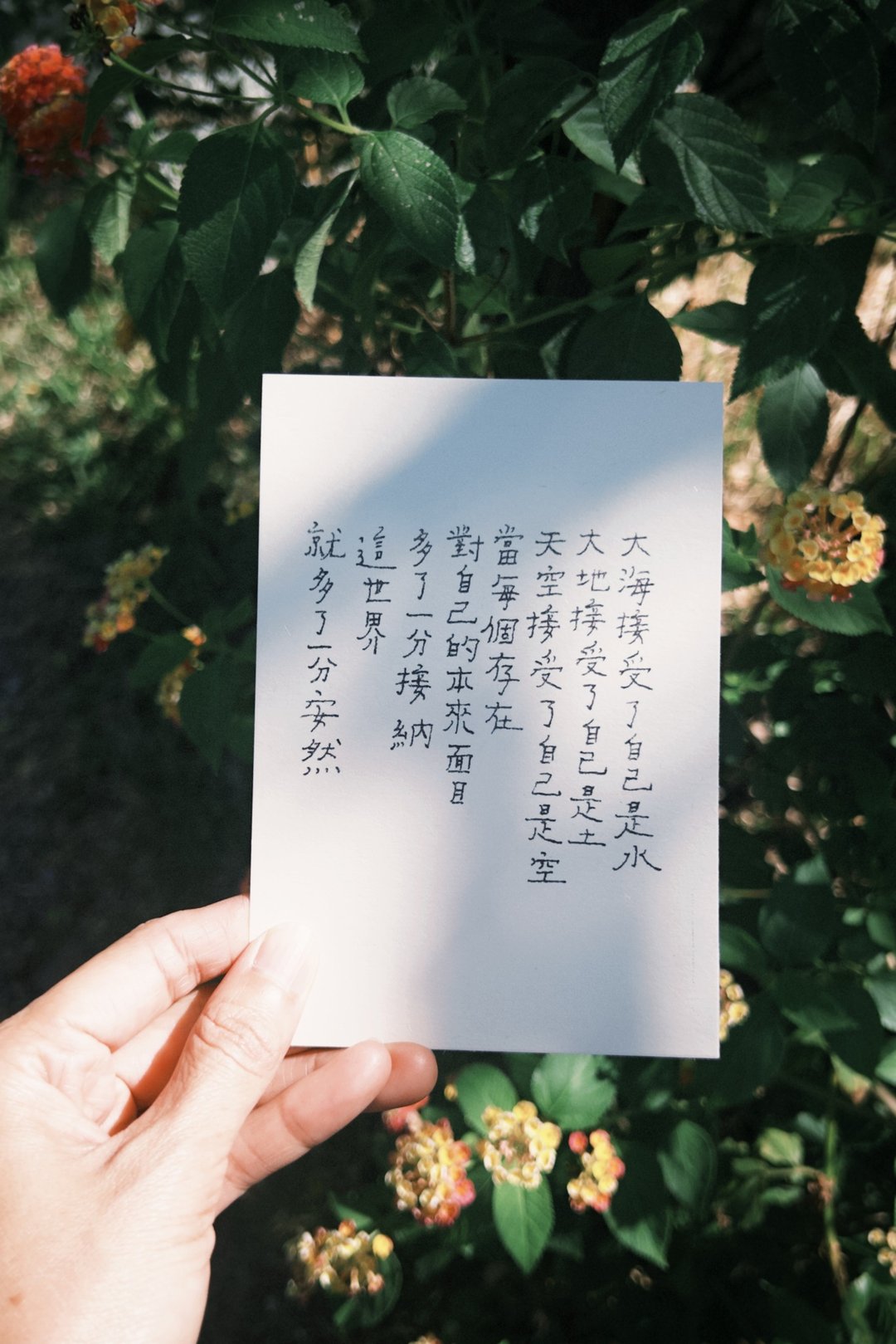 牧歌与炊烟。本来面目 文字明信片 青青的岛 - 卡片/明信片 - 纸 