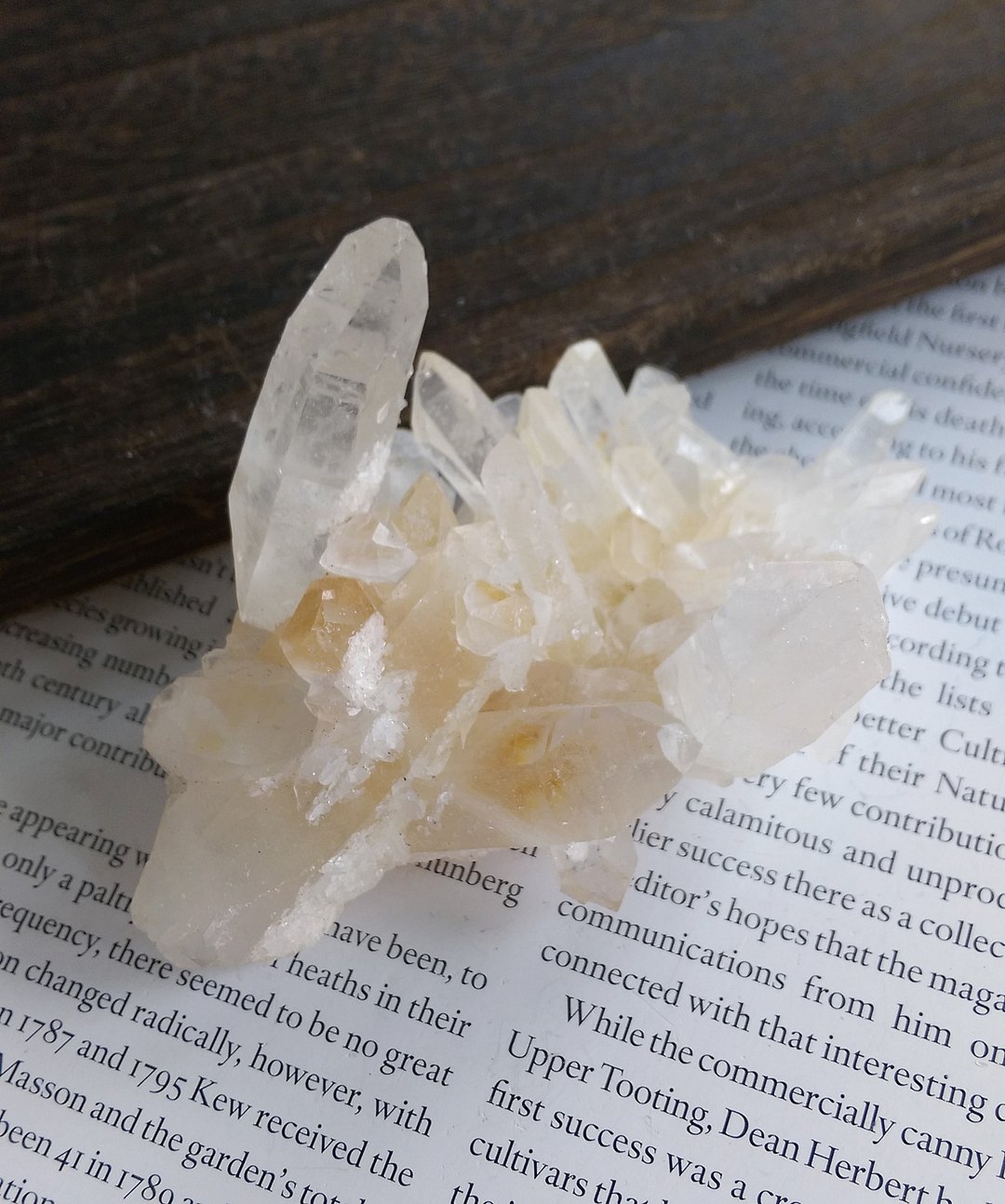 Crystal 四川产地 不规则晶簇 白水晶晶簇 天然矿石 原矿 - 摆饰 - 其他材质 