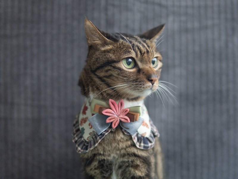 【红叶・もみじ】宠物领巾 猫咪/狗狗 花花 布花 枫叶领巾 - 红 - 项圈/牵绳 - 棉．麻 红色