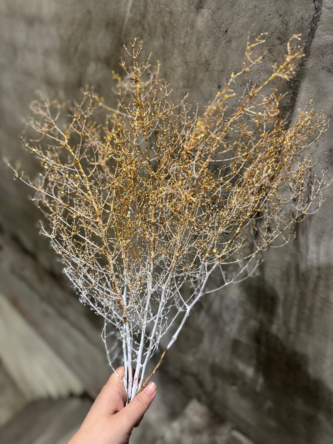 闪亮亮2024金寿松干燥花 圣诞摆饰 叮叮叮当 - 干燥花/捧花 - 植物．花 金色