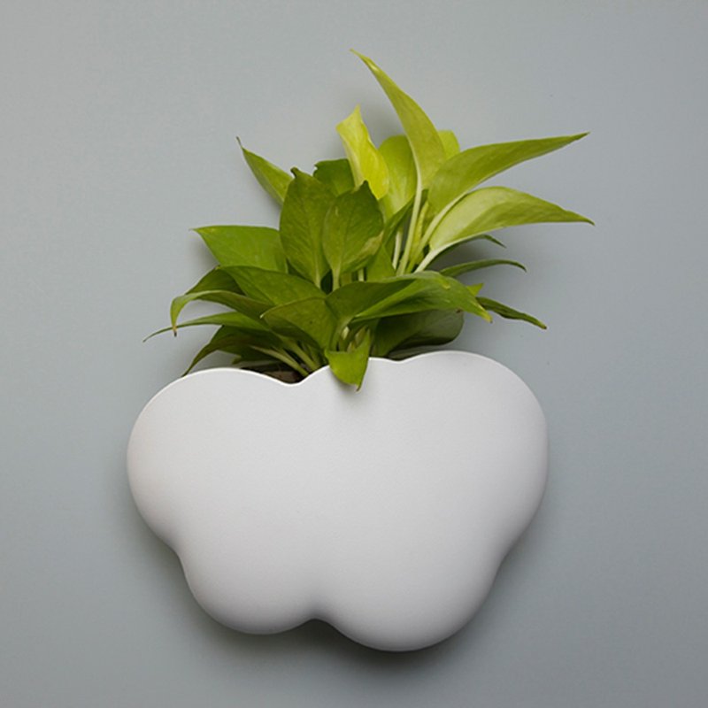 QUALY朵朵云儿-收纳盒 - 收纳用品 - 塑料 白色