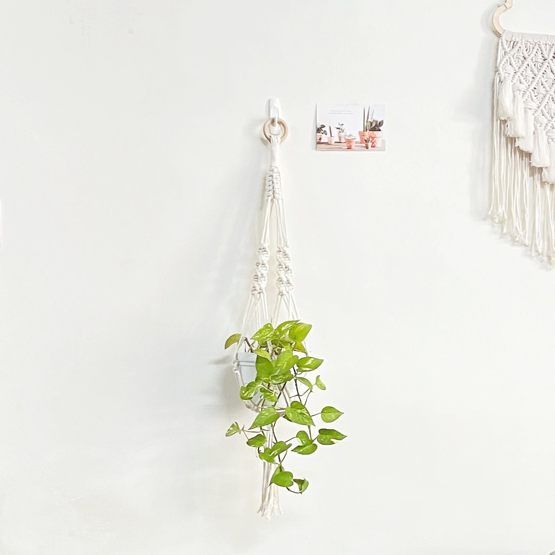 Macrame 植物吊篮【Macrame Plant Hanger】 - 摆饰 - 棉 