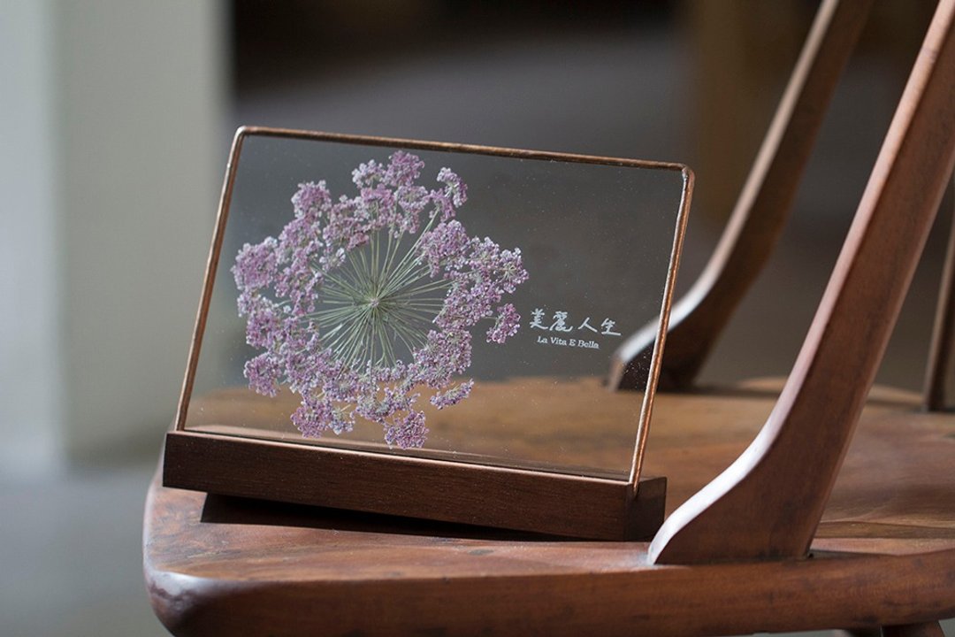 植物图鉴∣蕾丝花.紫色∣玻璃镶嵌∣花草标本 - 干燥花/捧花 - 植物．花 紫色