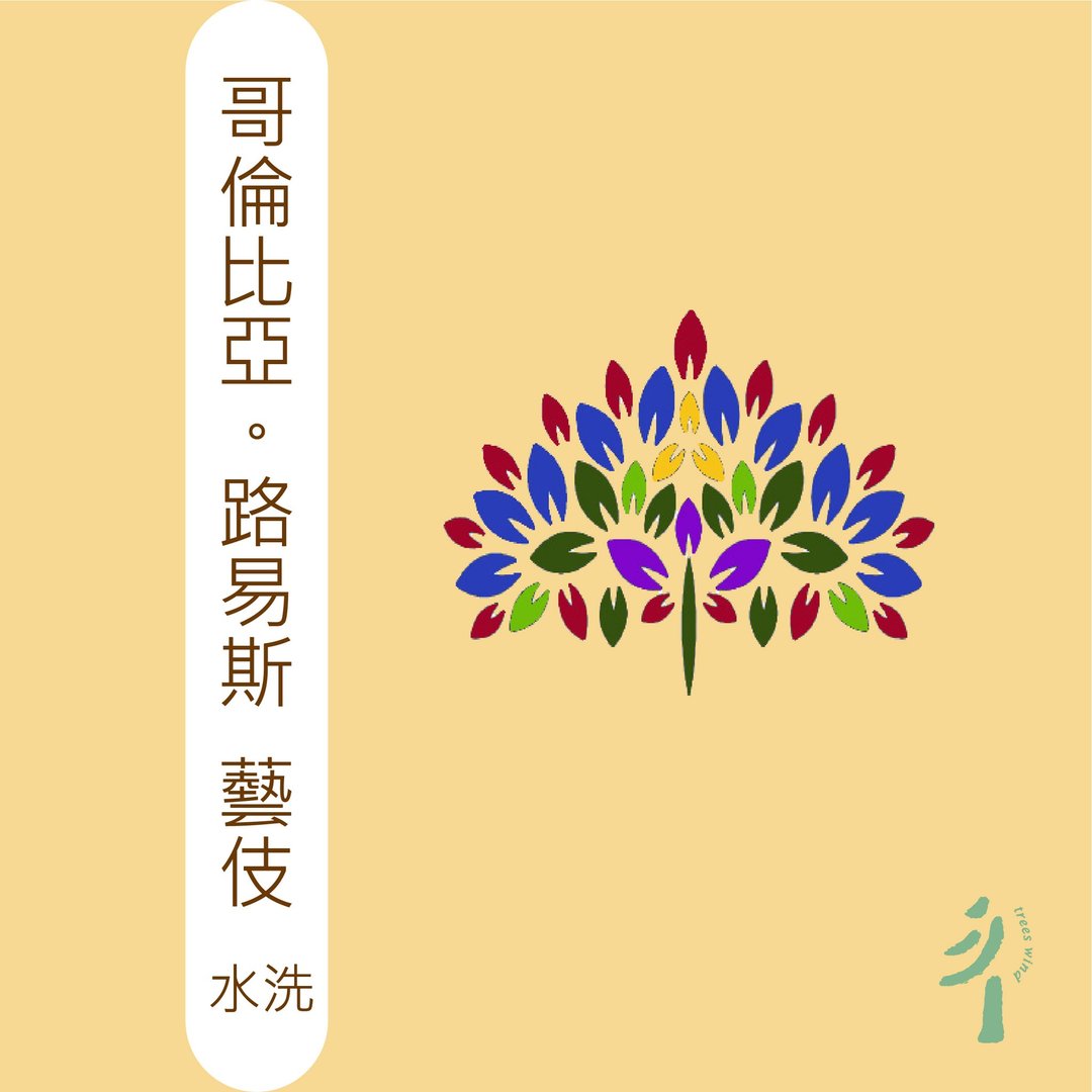 TreesWind 哥伦比亚 路易斯 艺伎 咖啡豆 - 咖啡 - 其他材质 