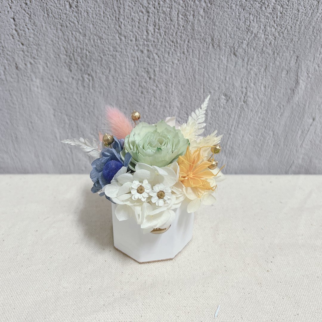 春日氛围 索拉花香氛小盆栽 干燥花 香氛石 附1ml香精油 - 干燥花/捧花 - 植物．花 多色