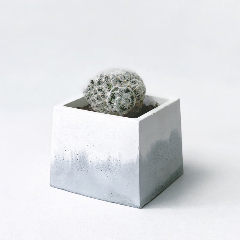(预购) 莫兰迪蓝系列 | 杜威丸 -方形渐层水泥仙人掌植栽 - 植栽/盆栽 - 植物．花 灰色